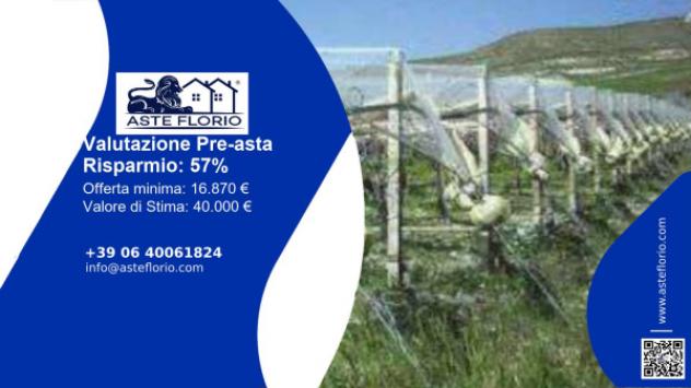 terreno agricolo in vendita a Licodia Eubea