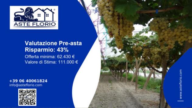 terreno agricolo in vendita a Licodia Eubea