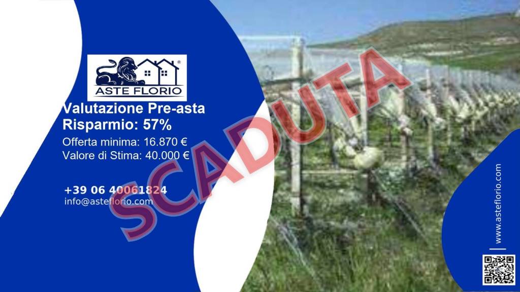 terreno agricolo in vendita a Licodia Eubea