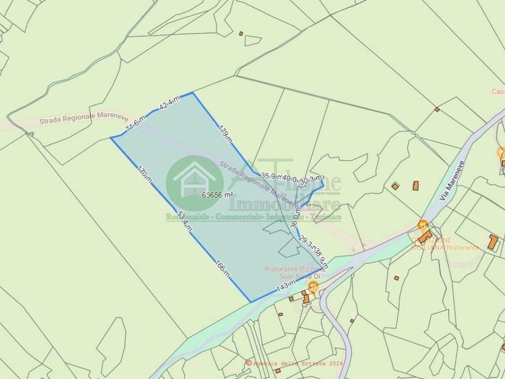 terreno agricolo in vendita a Linguaglossa