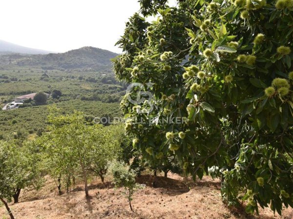 terreno agricolo in vendita a Linguaglossa