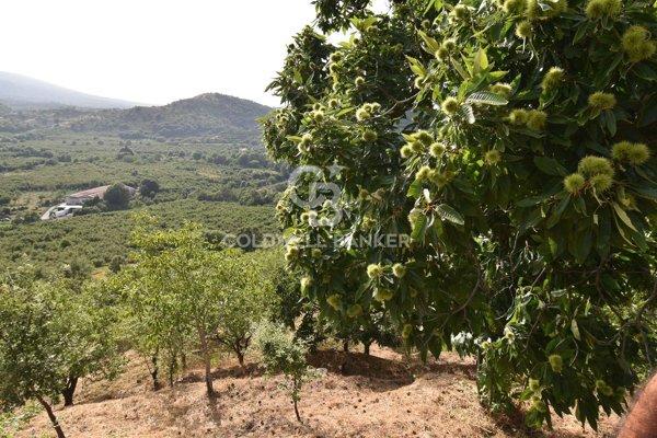 terreno agricolo in vendita a Linguaglossa