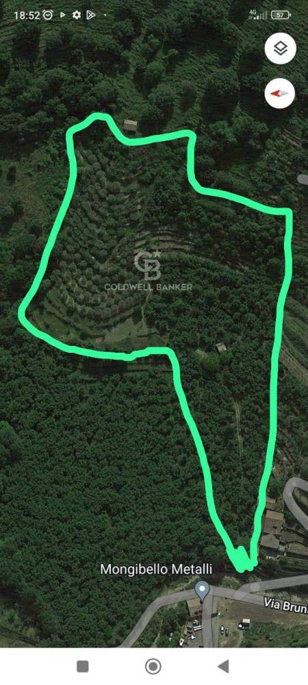 terreno agricolo in vendita a Linguaglossa