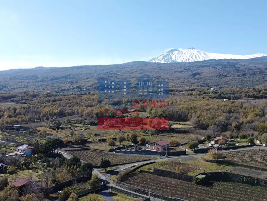 terreno agricolo in vendita a Linguaglossa