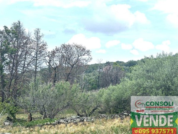 terreno agricolo in vendita a Linguaglossa
