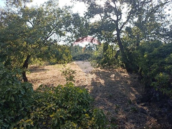 terreno edificabile in vendita a Linguaglossa