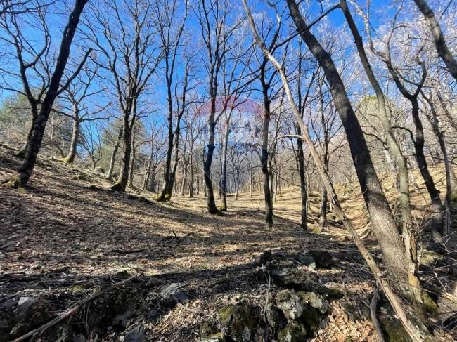 terreno agricolo in vendita a Linguaglossa