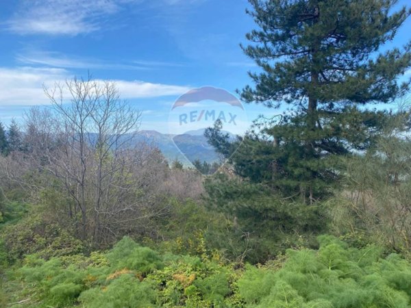 terreno agricolo in vendita a Linguaglossa