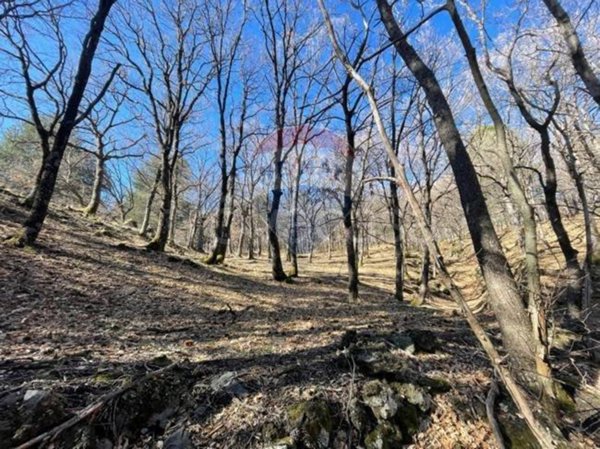 terreno agricolo in vendita a Linguaglossa