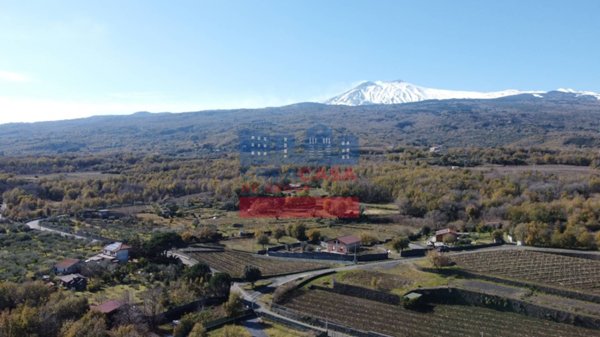 terreno agricolo in vendita a Linguaglossa