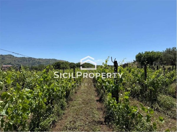 terreno agricolo in vendita a Linguaglossa