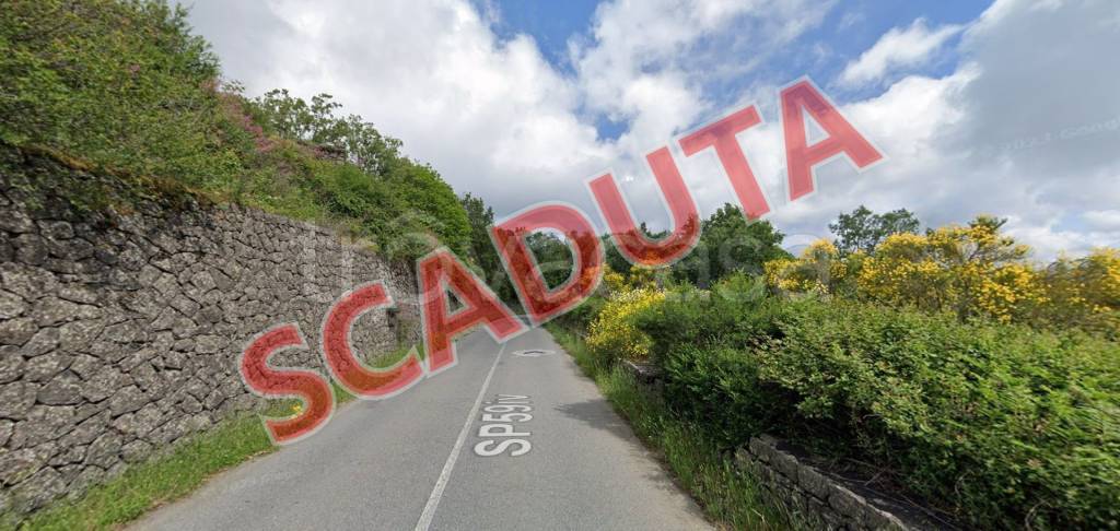 terreno agricolo in vendita a Linguaglossa