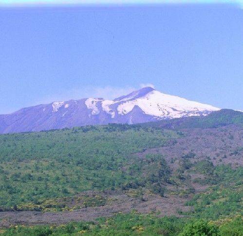 terreno agricolo in vendita a Linguaglossa