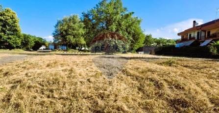 terreno edificabile in vendita a Linguaglossa