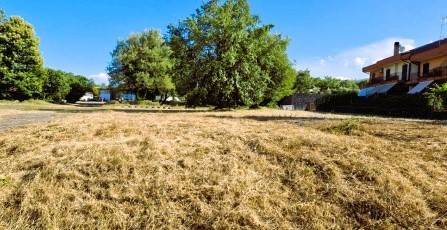 terreno agricolo in vendita a Linguaglossa
