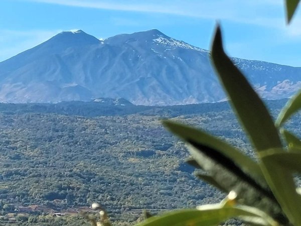 casa indipendente in vendita a Linguaglossa