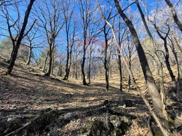 terreno agricolo in vendita a Linguaglossa