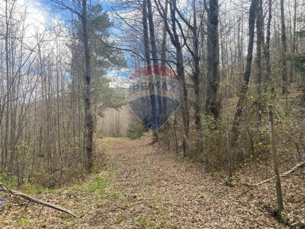 casa indipendente in vendita a Linguaglossa