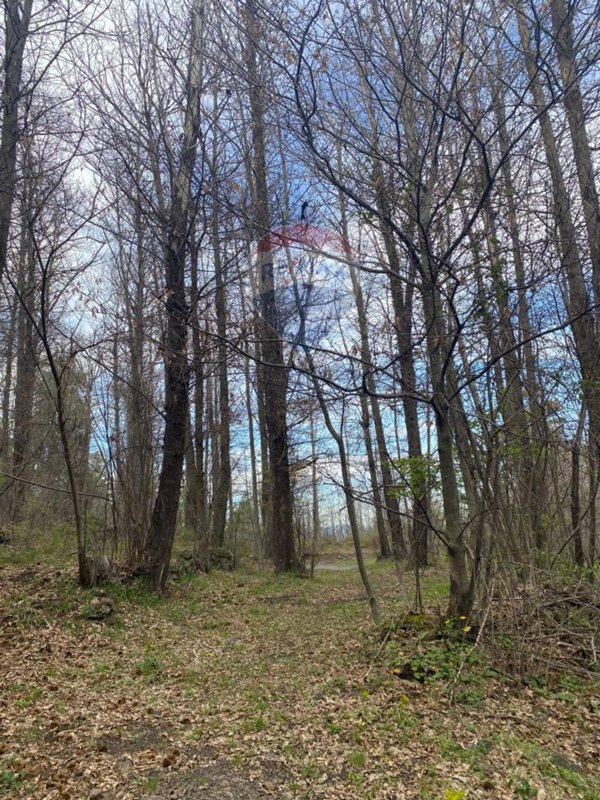 casa indipendente in vendita a Linguaglossa