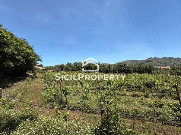 terreno agricolo in vendita a Linguaglossa