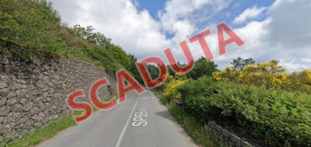 terreno agricolo in vendita a Linguaglossa