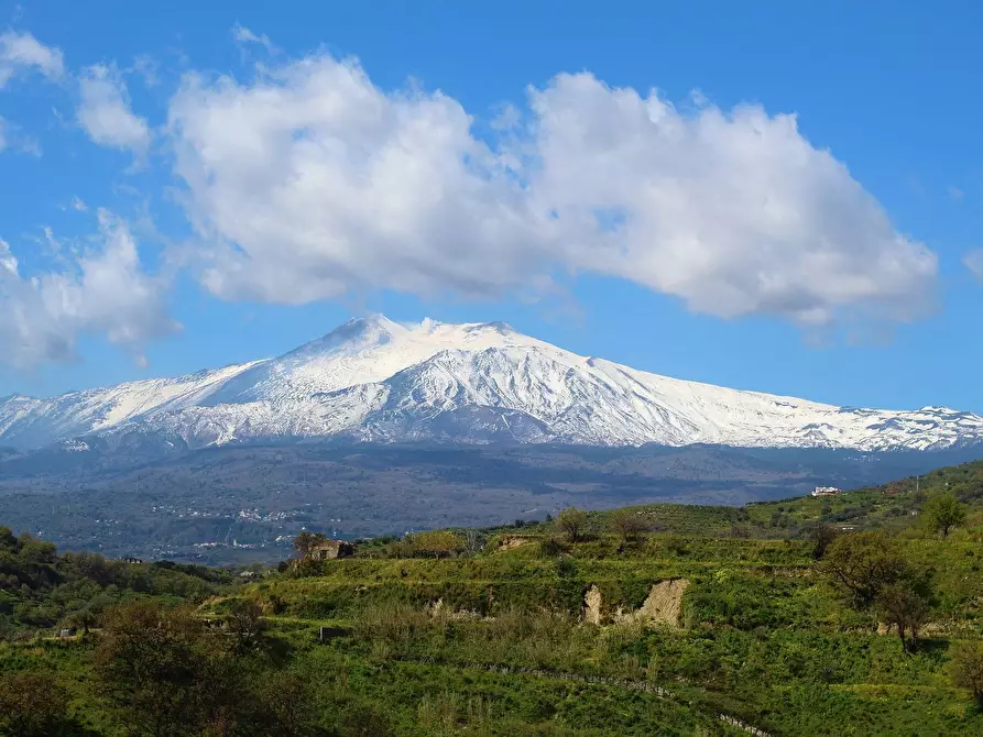 terreno agricolo in vendita a Linguaglossa