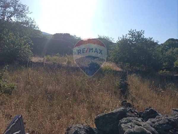 terreno agricolo in vendita a Linguaglossa