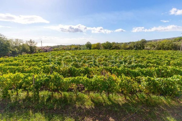 casa indipendente in vendita a Linguaglossa