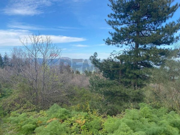 terreno agricolo in vendita a Linguaglossa