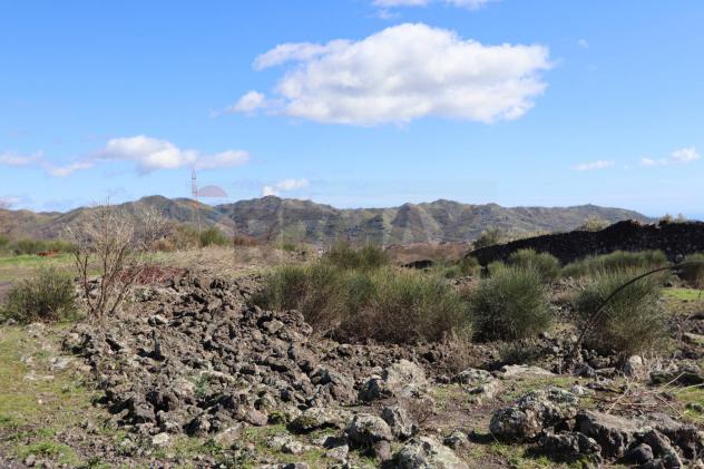 terreno agricolo in vendita a Linguaglossa