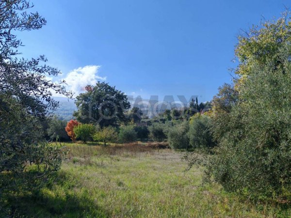 terreno agricolo in vendita a Linguaglossa