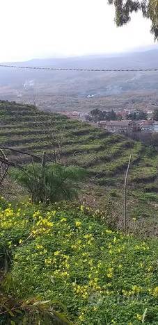 terreno agricolo in vendita a Linguaglossa