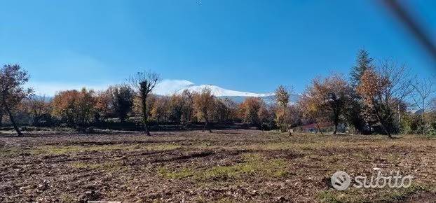 terreno agricolo in vendita a Linguaglossa