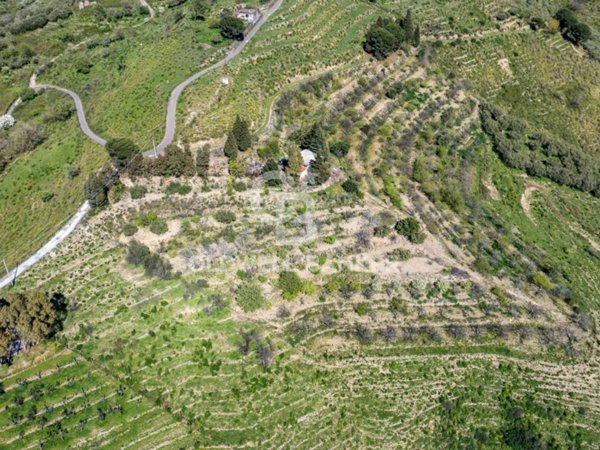 terreno agricolo in vendita a Linguaglossa