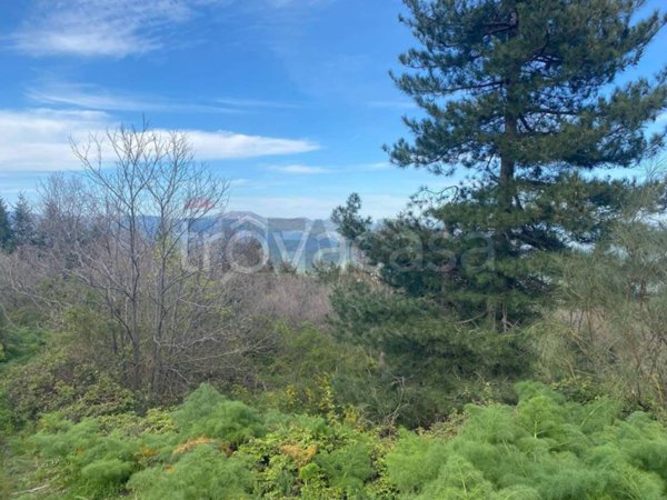 terreno agricolo in vendita a Linguaglossa in zona Catena