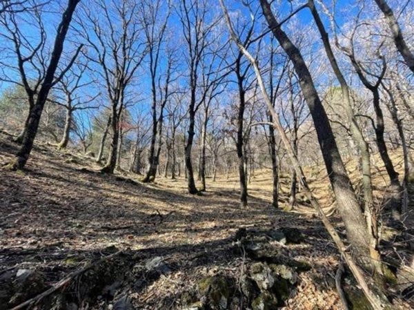 terreno agricolo in vendita a Linguaglossa in zona Catena
