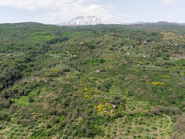 terreno agricolo in vendita a Linguaglossa