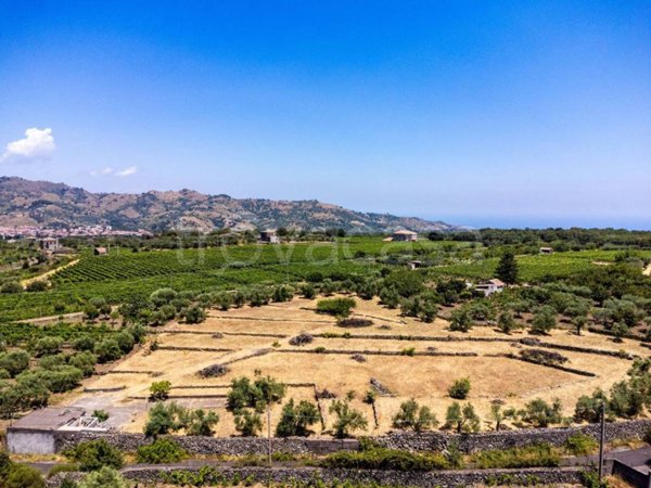 terreno agricolo in vendita a Linguaglossa
