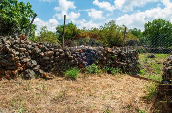 terreno agricolo in vendita a Maletto