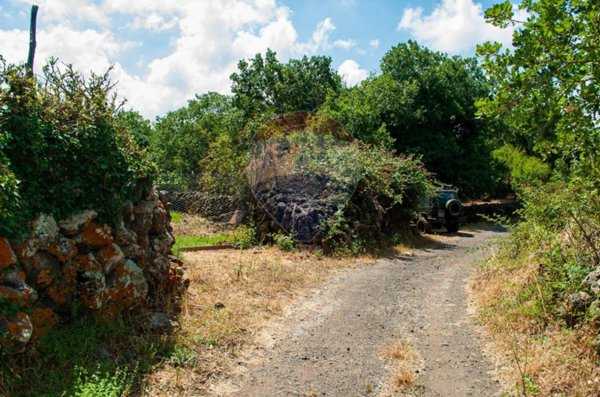 terreno agricolo in vendita a Maletto