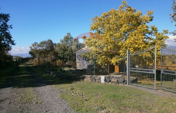 appartamento in vendita a Maletto