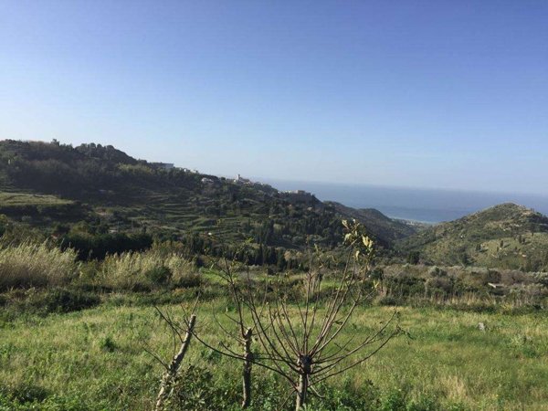 terreno agricolo in vendita a Maletto