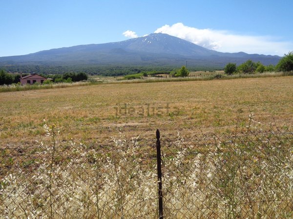 terreno agricolo in vendita a Maletto