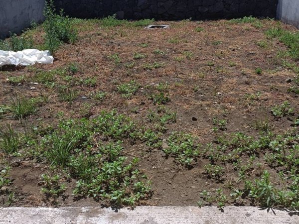 casa indipendente in vendita a Mascali