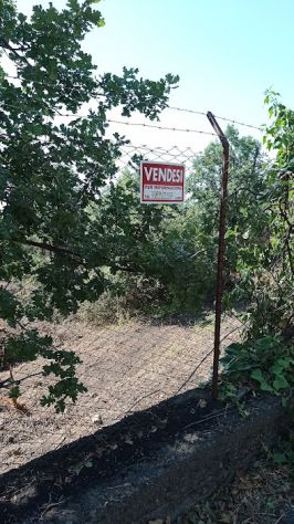terreno agricolo in vendita a Mascali in zona Santa Venera