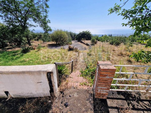 terreno agricolo in vendita a Mascali