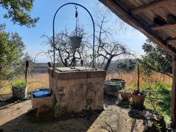 terreno agricolo in vendita a Mascali