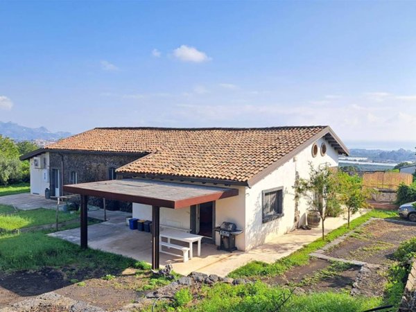 esavano in vendita a Mascali