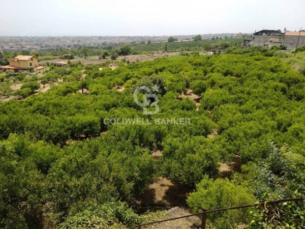terreno agricolo in vendita a Mascali