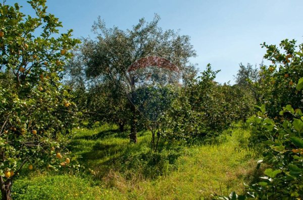 terreno agricolo in vendita a Mascali in zona Fondachello